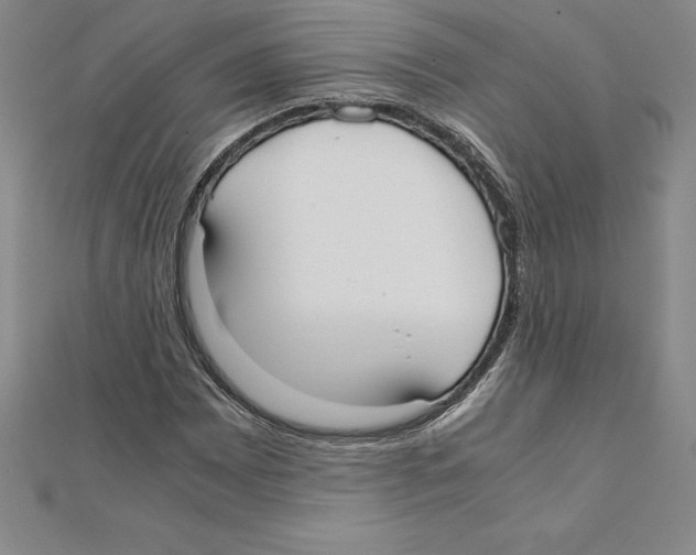 X0000110321065200906181819