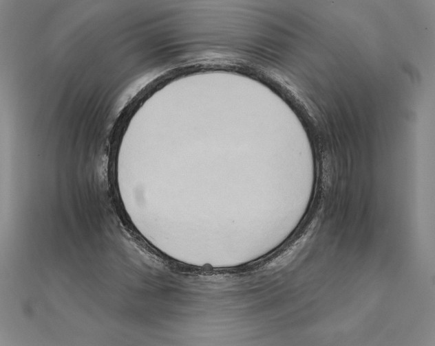 X0000110321066200906181819