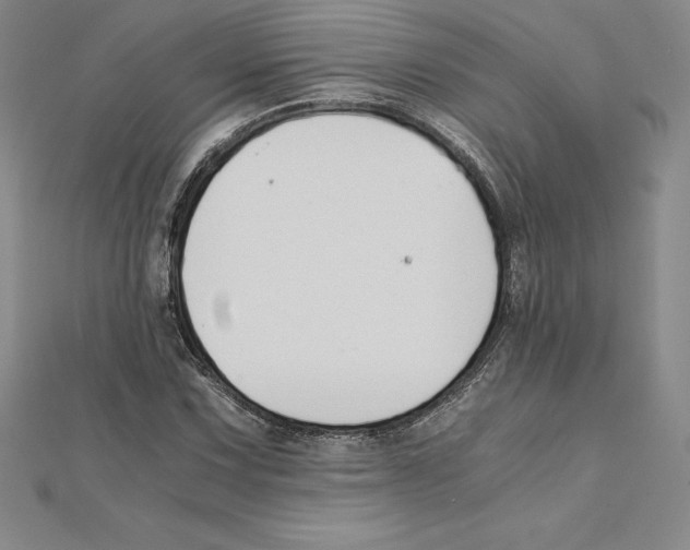 X0000110321067200906181819