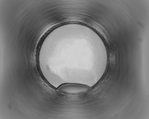 X0000110321068200906181819