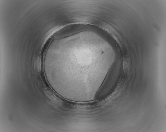 X0000110321069200906181819