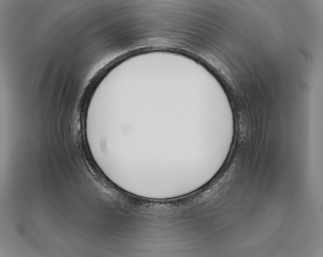 X0000110321070200906181819