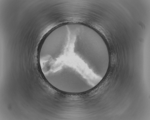 X0000110321071200906181819