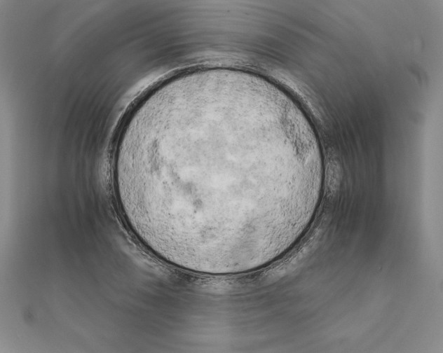 X0000110321074200906181819