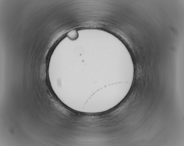 X0000110321075200906181819