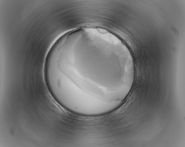 X0000110321076200906181819