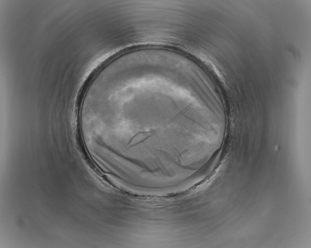 X0000110321077200906181819