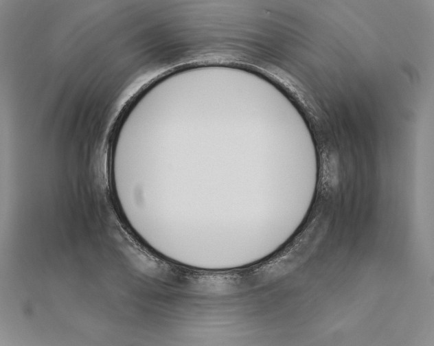 X0000110321078200906181819