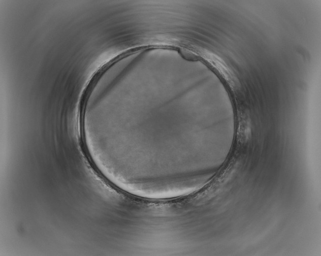 X0000110321080200906181819