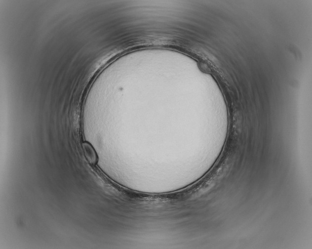 X0000110321081200906181819