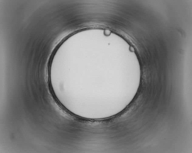 X0000110321082200906181819