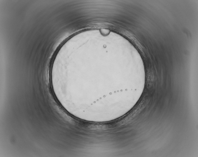 X0000110321083200906181819