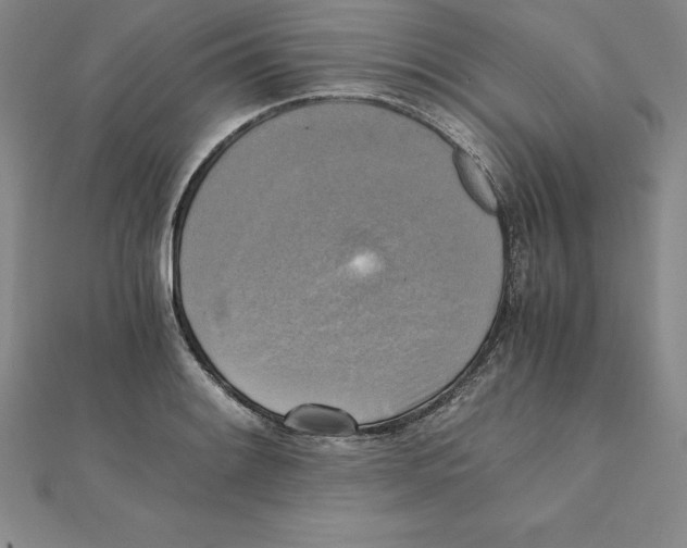 X0000110321084200906181819