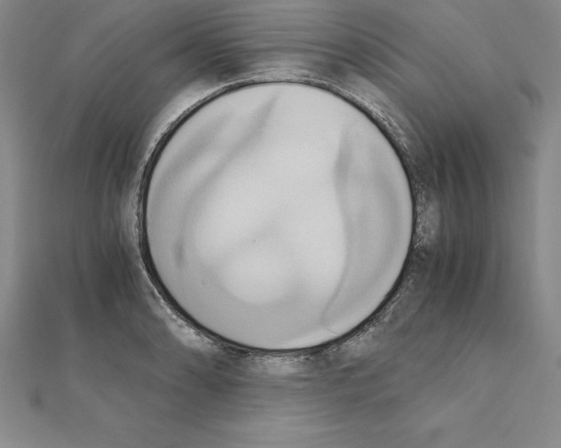 X0000110321086200906181819