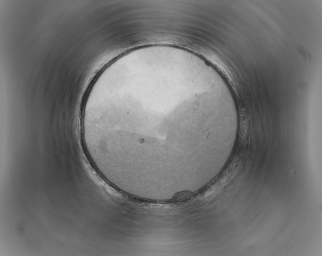 X0000110321088200906181819