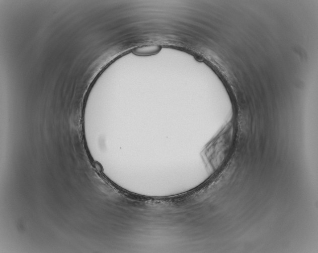 X0000110321089200906181819