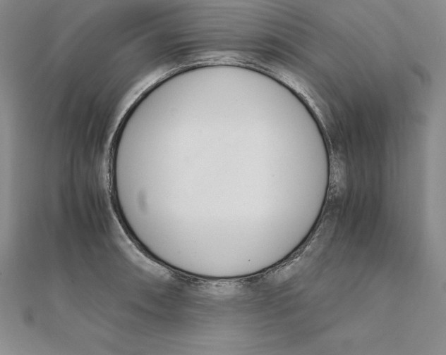 X0000110321090200906181818