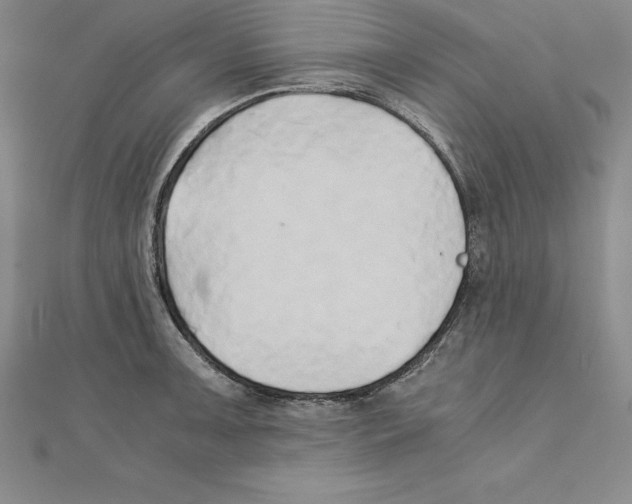 X0000110321091200906181818