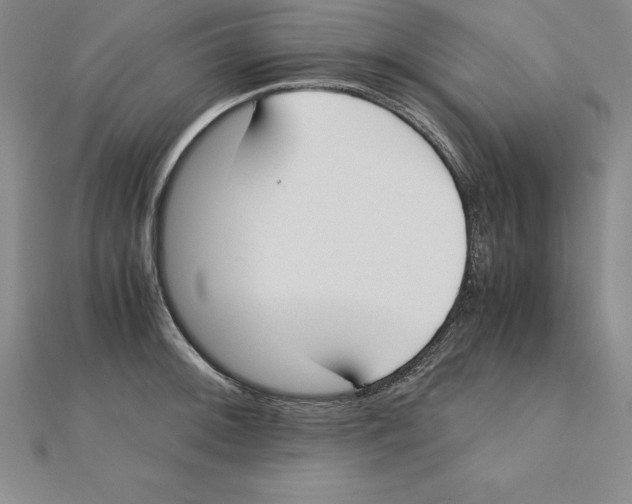 X0000110321092200906181818