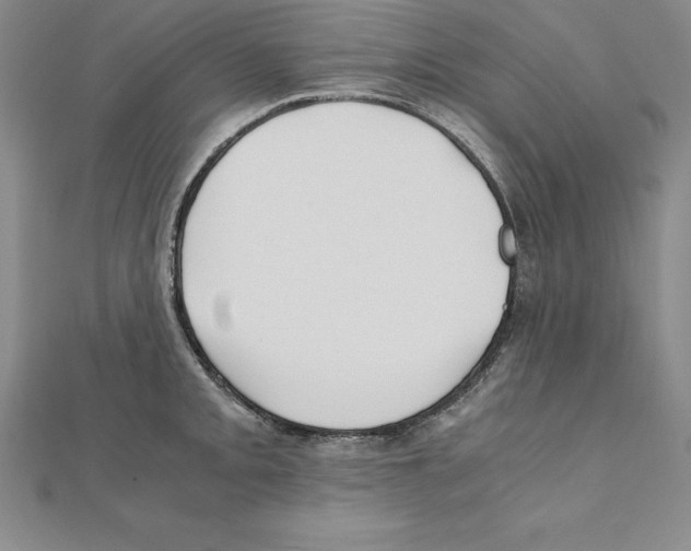 X0000110321093200906181818