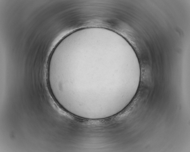 X0000110321094200906181818