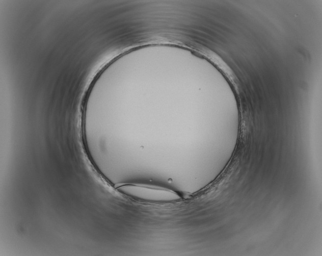 X0000110321096200906181818