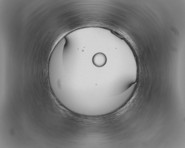 X0000110321097200906181818