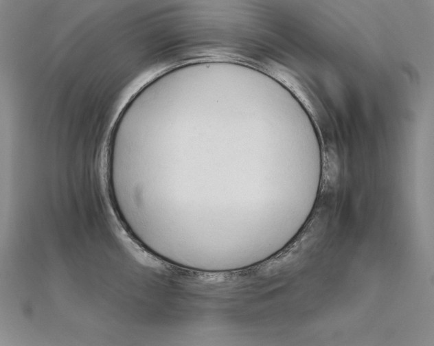 X0000110321098200906181818