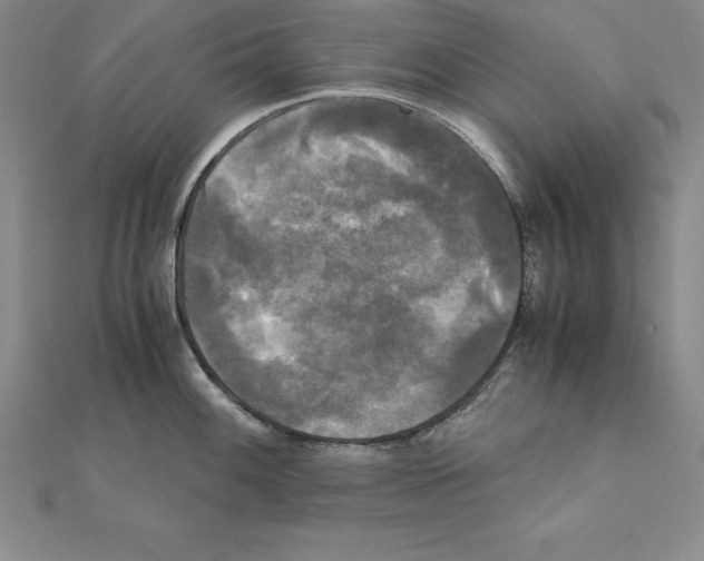 X0000110321100200906181818