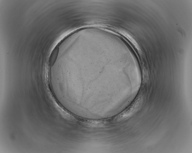 X0000110321101200906181818