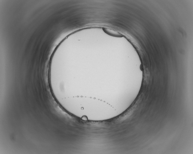 X0000110321102200906181818