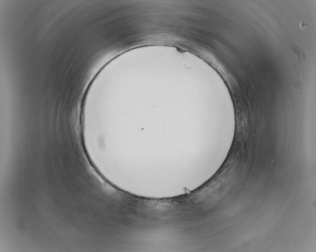 X0000110321103200906181818