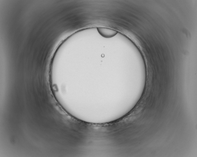 X0000110321104200906181818