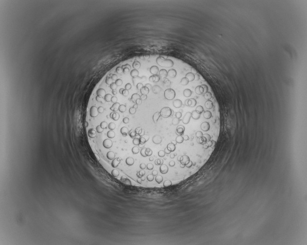 X0000110321106200906181818