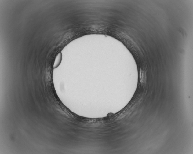 X0000110321107200906181818