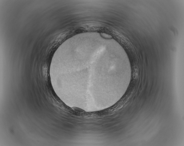 X0000110321108200906181818