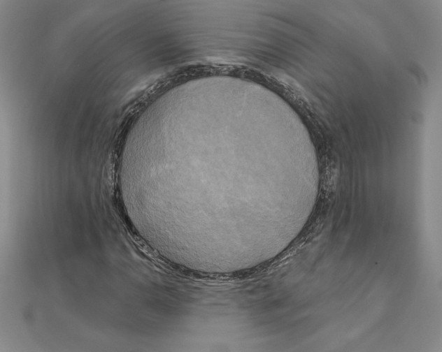 X0000110321110200906181818