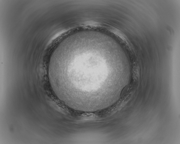 X0000110321112200906181818