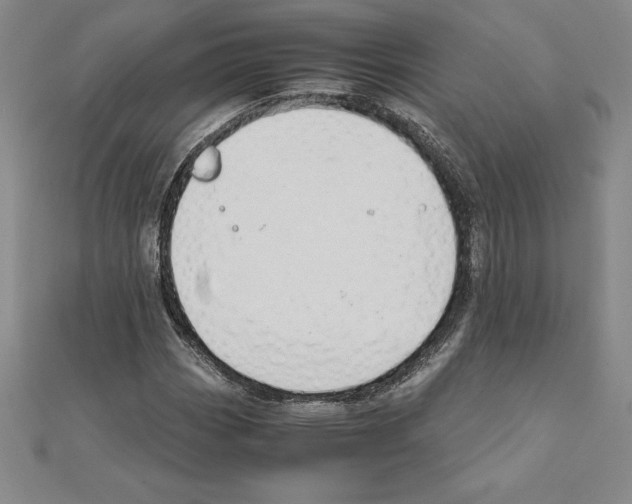 X0000110321113200906181818