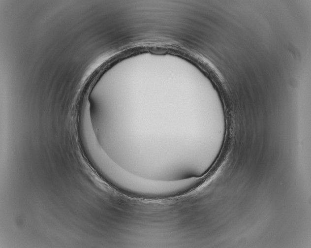 X0000110321114200906181818