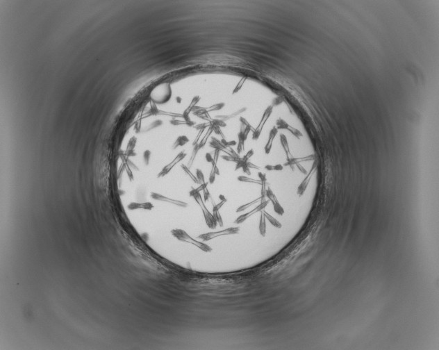 X0000110321115200906181818