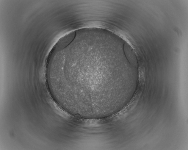 X0000110321116200906181818