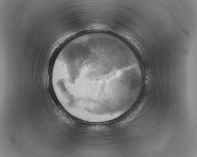 X0000110321117200906181818