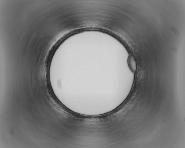 X0000110321118200906181818