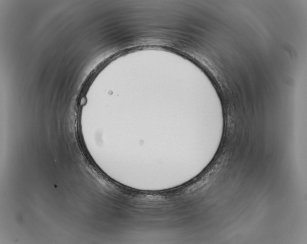 X0000110321119200906181818