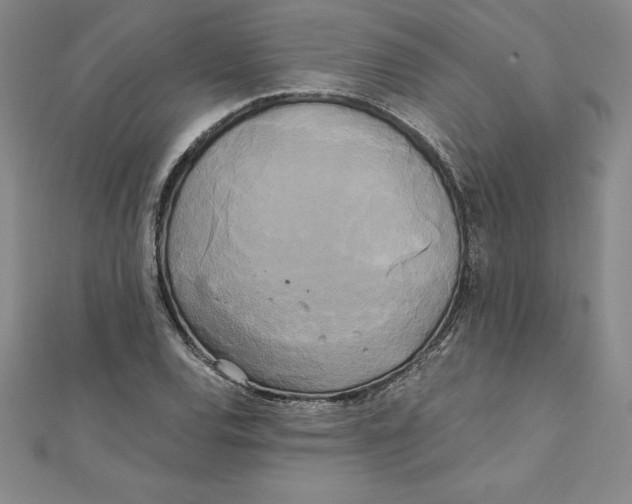 X0000110321120200906181818