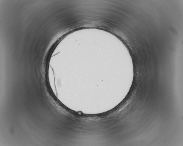 X0000110321122200906181818