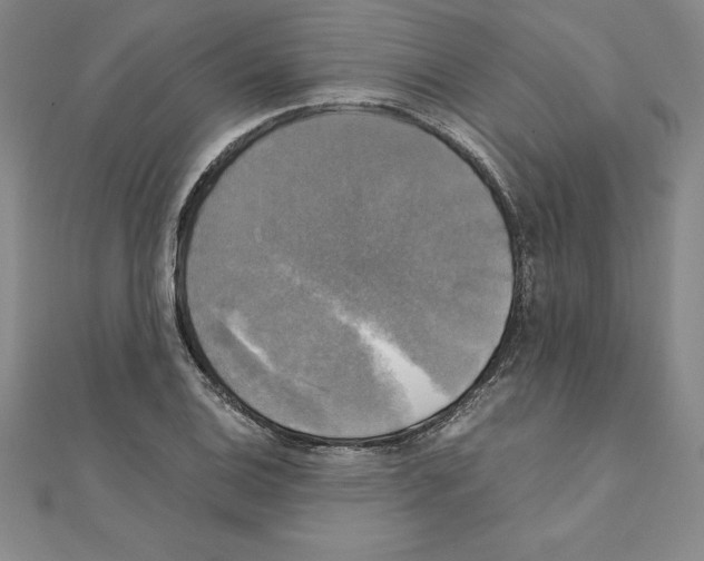 X0000110321124200906181818