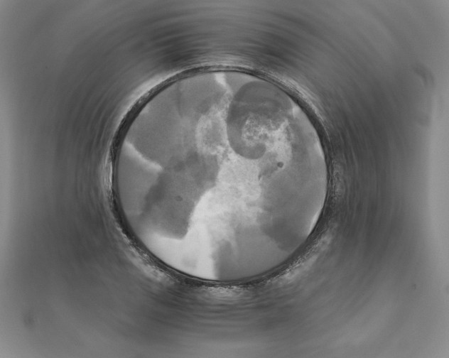 X0000110321125200906181818