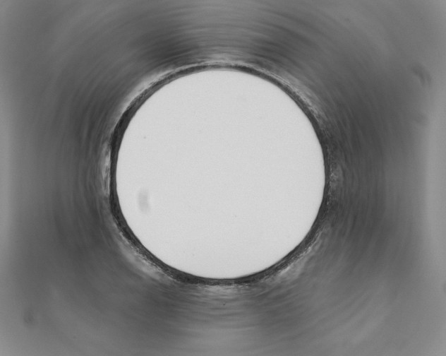 X0000110321126200906181818